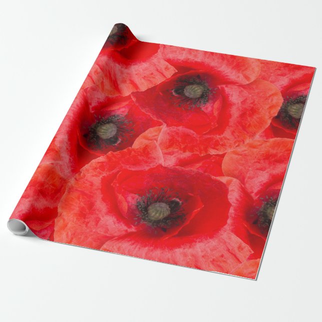 Wild poppies pattern wrapping paper (Unrolled)