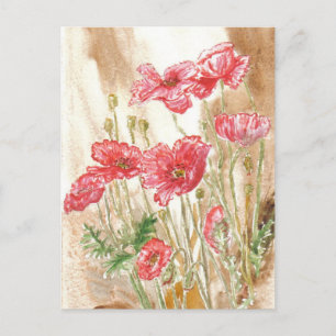 'Wild Poppies' Postcard