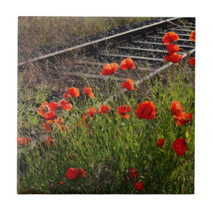 Wild poppy    ceramic tile
