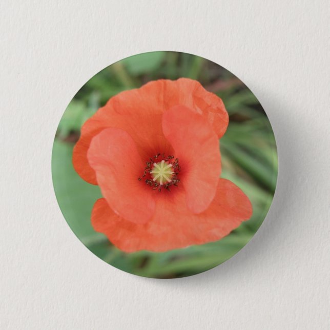 Wild Poppy Flower Button (Front)