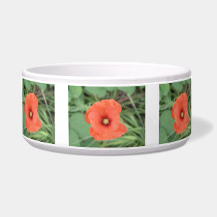 Wild Poppy Flower Dog Bowl