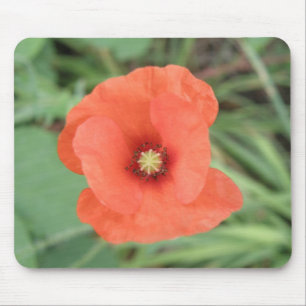 Wild Poppy Flower Mousepad