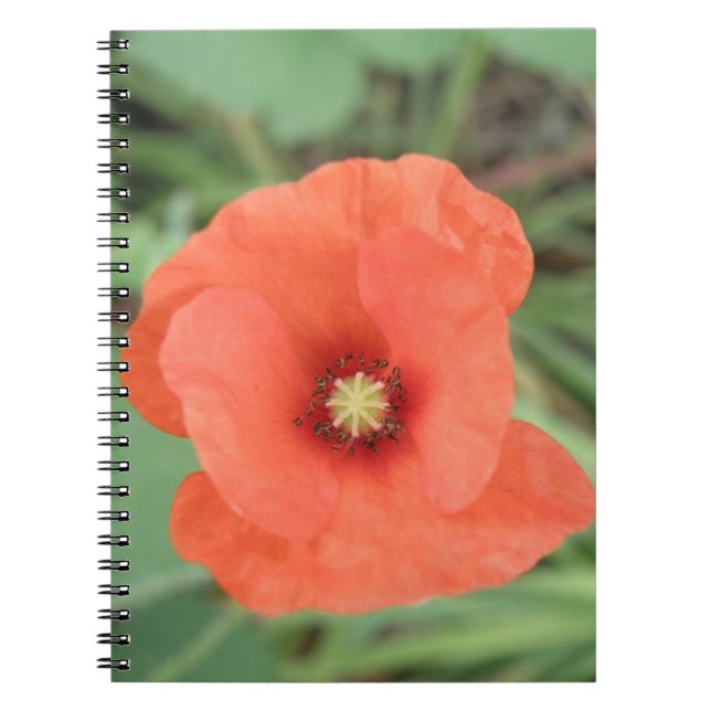 Wild Poppy Flower Notebook (Front)