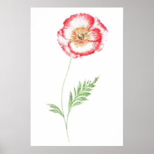 Wild poppy flower poster