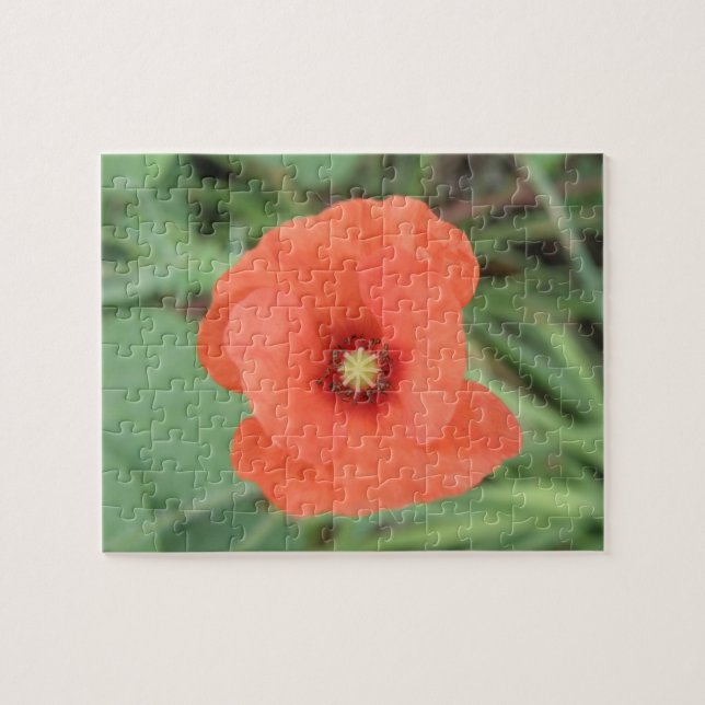 Wild Poppy Flower Puzzle (Horizontal)