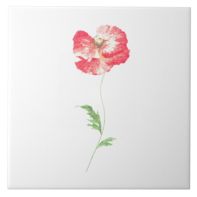 Wild poppy flower tile (Front)