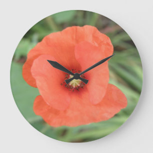 Wild Poppy Flower Wall Clock