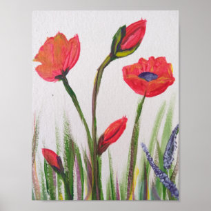 Wild poppy poster