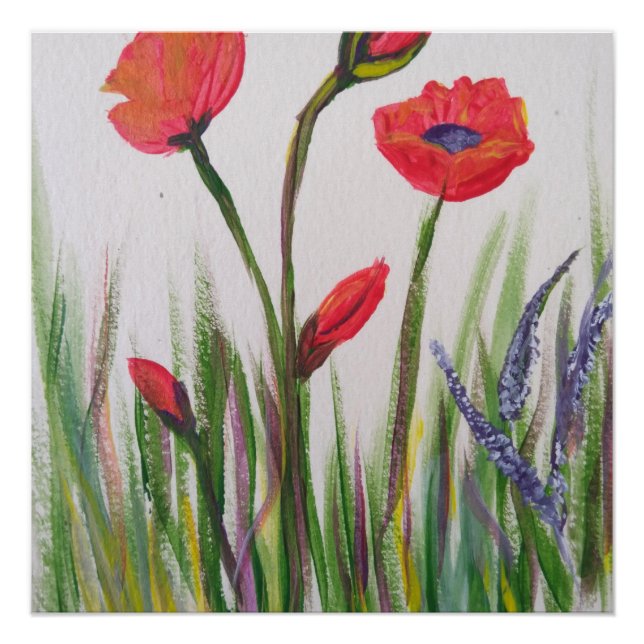Wild poppy poster (Front)