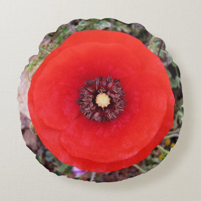 Wild Poppy  Round Cushion (Front)