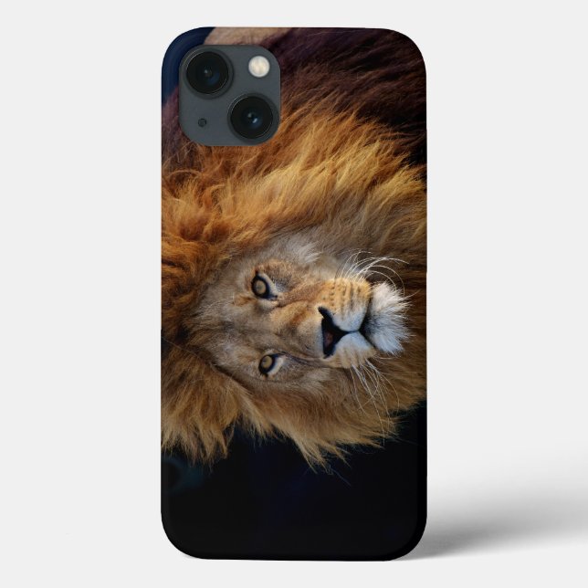 Wild Predator Lion with Mane Case-Mate iPhone Case (Back)