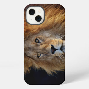 Wild Predator Lion with Mane iPhone 13 Case