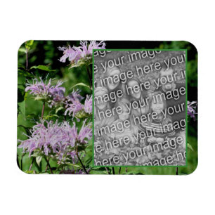 Wild Purple Bee Balm Frame Add Your Photo Magnet