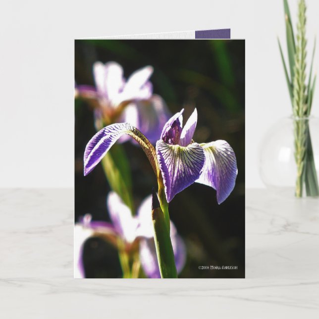 Wild Purple Card (Front)