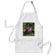 Wild Purple Cranesbill