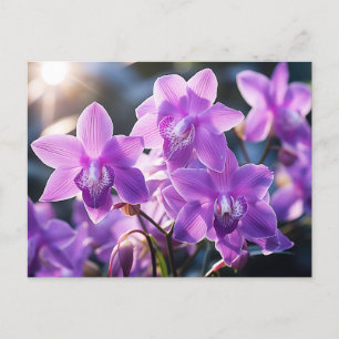 WILD PURPLE ORCHID FROM DOMINICA  POSTCARD