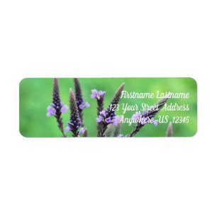 Wild Purple Vervain Flower Address Return Address Label