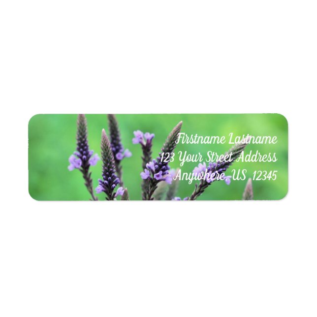 Wild Purple Vervain Flower Address Return Address Label (Front)