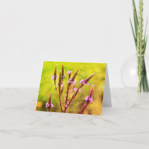 Wild Purple Vervain Flower Art Blank Note Card