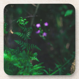 Wild Purple Water Forest Flowers Fern Coaster