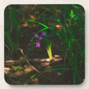 Wild Purple Water Forest Flowers Fern Coaster