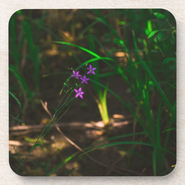 Wild Purple Water Forest Flowers Fern Coaster (Front)
