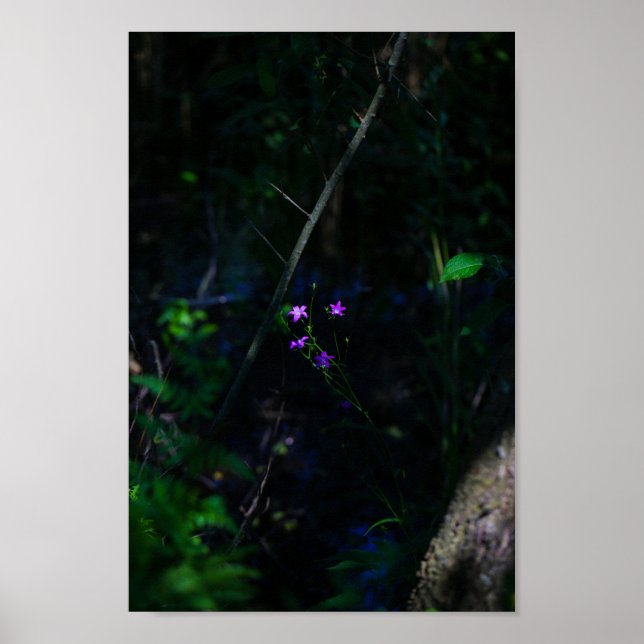 Wild Purple Water Forest Flowers Fern  Poster (Front)
