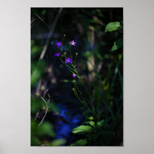 Wild Purple Water Forest Flowers Fern Poster