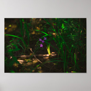 Wild Purple Water Forest Flowers Fern Poster