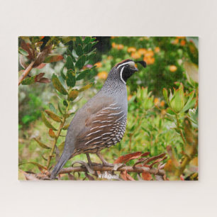 Wild Quail Jigsaw Puzzle