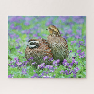 Wild Quail Jigsaw Puzzle