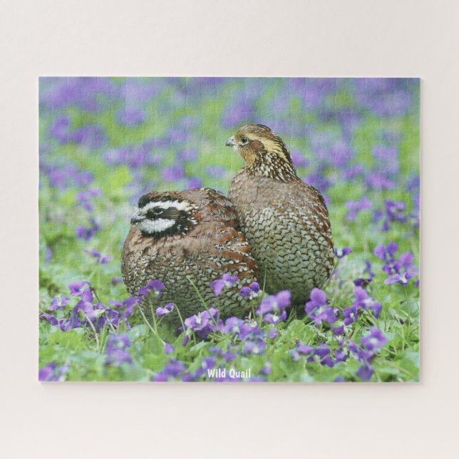 Wild Quail Jigsaw Puzzle (Horizontal)