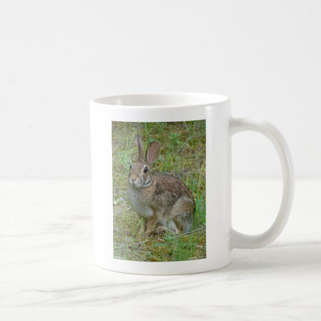 Wild Rabbit Eastern Cottontail Apparel and Gifts Coffee Mug (Right)