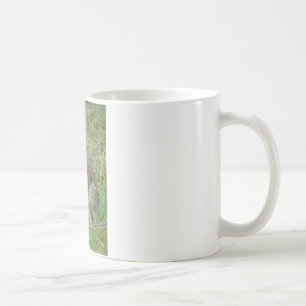 Wild Rabbit Eastern Cottontail Apparel and Gifts Coffee Mug