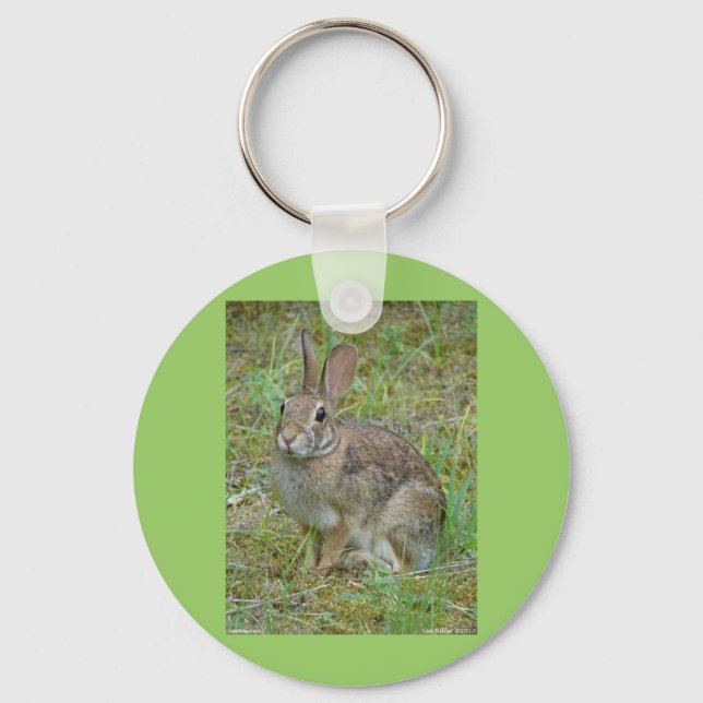 Wild Rabbit Eastern Cottontail Apparel and Gifts Key Ring (Front)