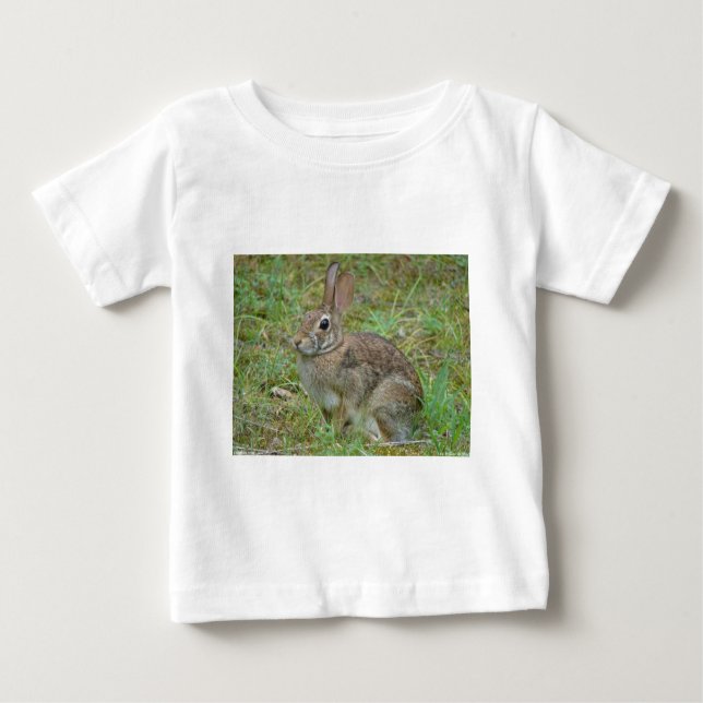 Wild Rabbit Eastern Cottontail II Apparel & Gifts Baby T-Shirt (Front)