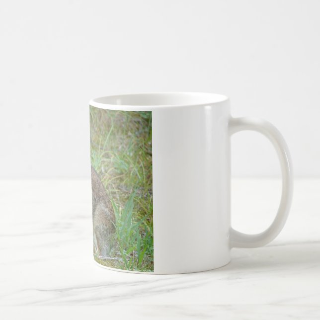 Wild Rabbit Eastern Cottontail II Apparel & Gifts Coffee Mug (Right)