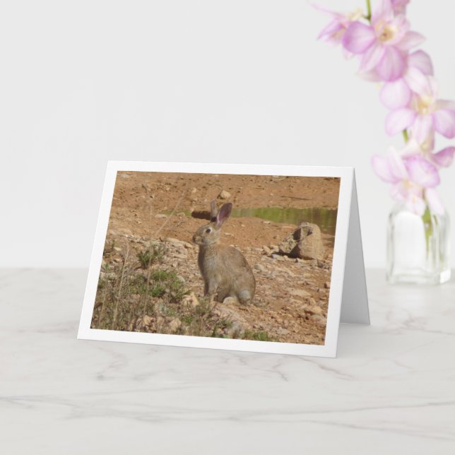 Wild Rabbit in Canyon Card (Orchid)
