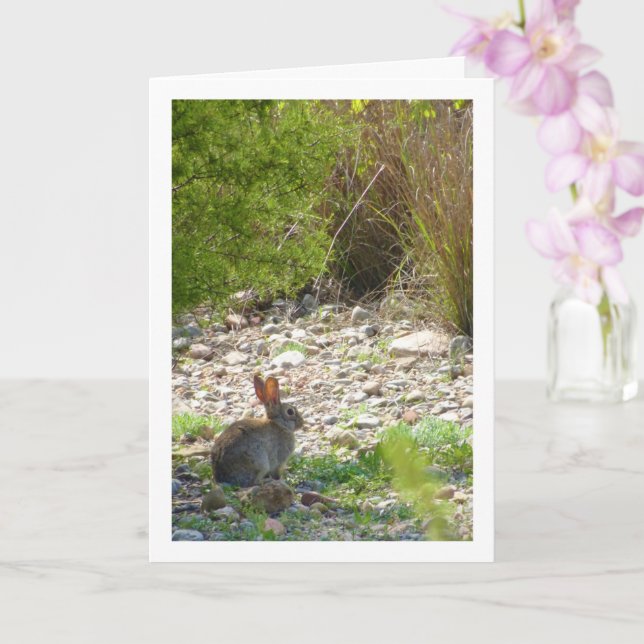 Wild Rabbit in Canyon Card (Orchid)