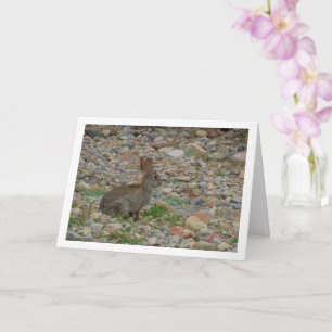 Wild Rabbit in Countryside Card