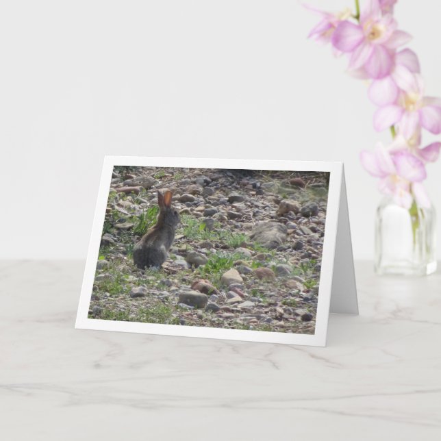 Wild Rabbit in Countryside Card (Orchid)