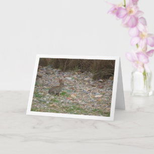 Wild Rabbit in Countryside Card