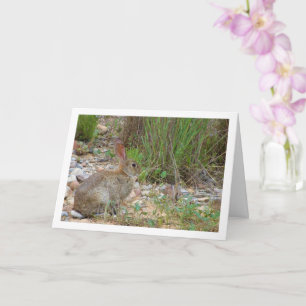 Wild Rabbit in Countryside Card