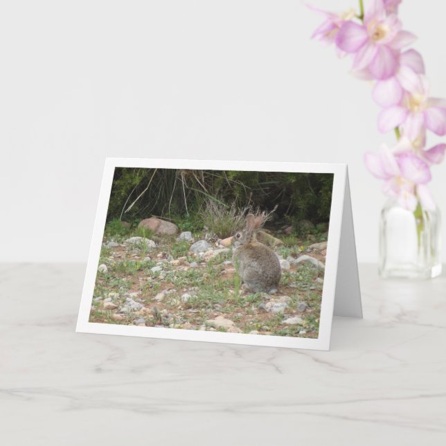 Wild Rabbit in Countryside Card (Orchid)