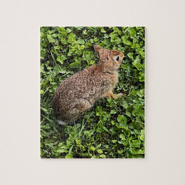 Wild rabbit in grass and clover, puzzles (Vertical)