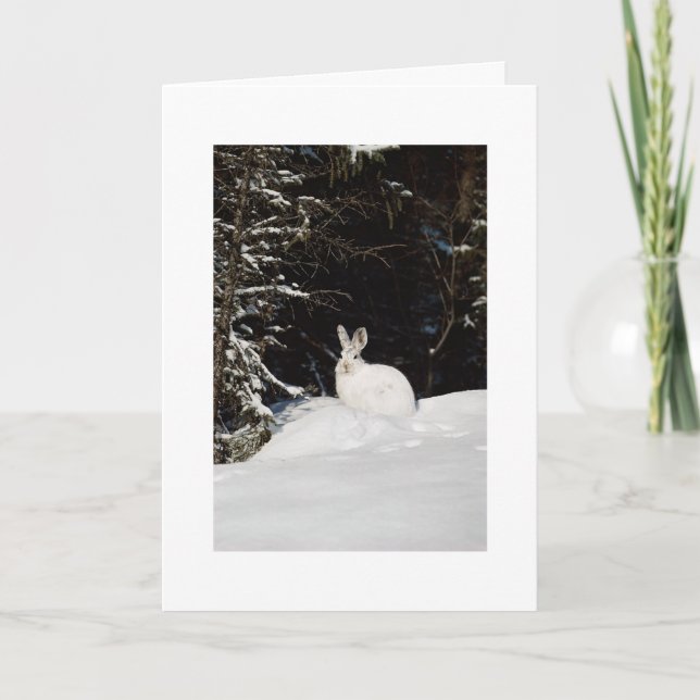 Wild Rabbit In Snow Xmas Holiday Christmas Card (Front)