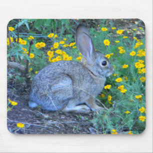 Wild Rabbit in Yellow Flowers Mouse Pad