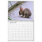 Wild Rabbits Calendar