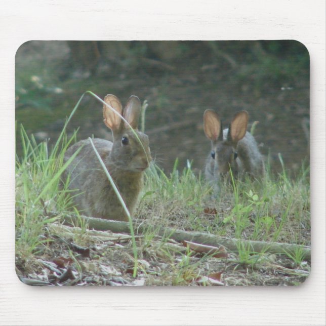 Wild Rabbits Eastern Cottontail Pair Apparel Gifts Mouse Pad (Front)