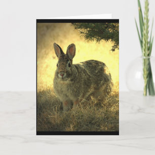 Wild Rabbits Greeting Card